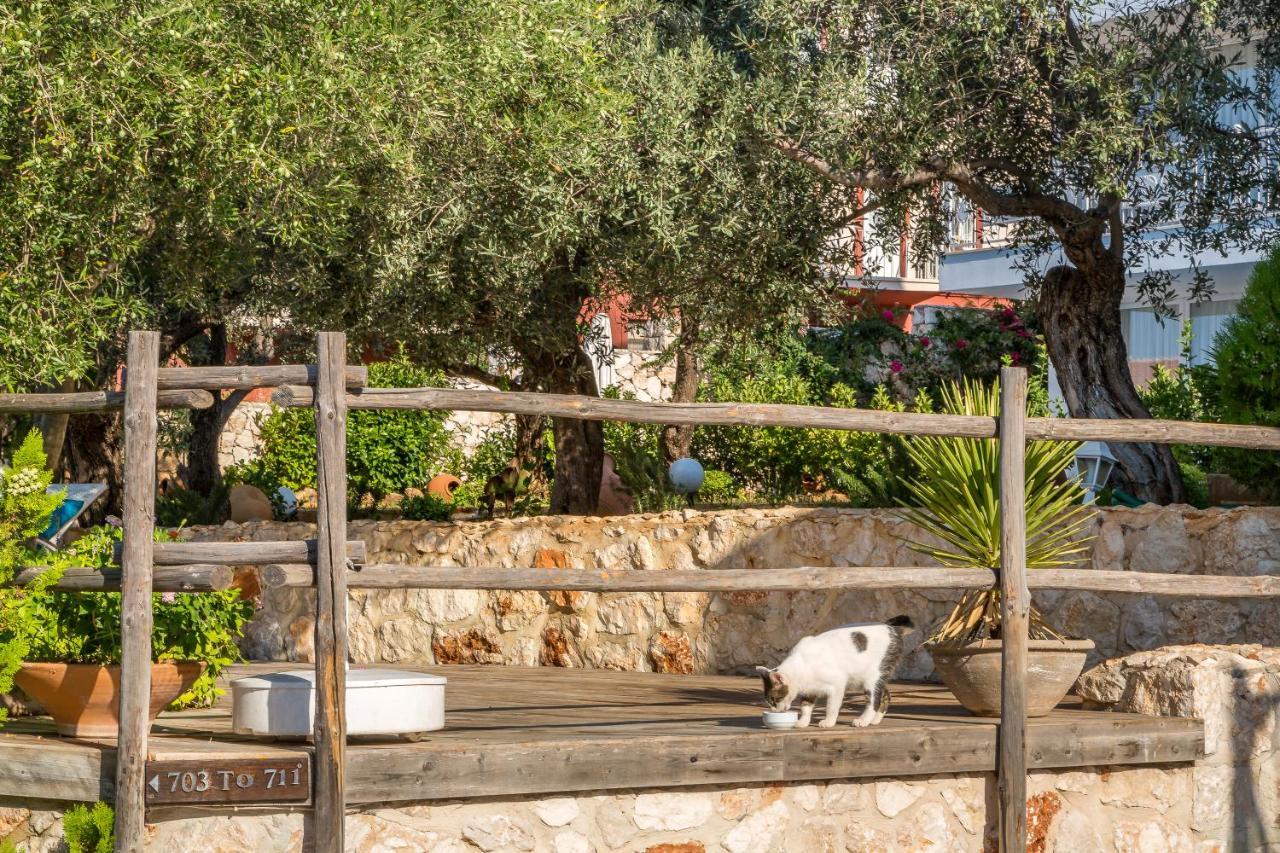 Oasis Hotel (Adults Only) Kalkan Exterior foto